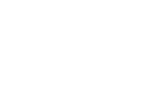 team-lebork